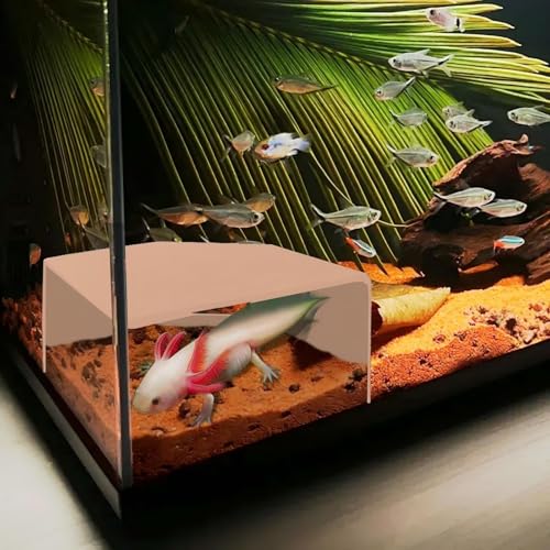 Garnelenhöhle für Aquarien – langlebige Aquarium-Dekoration, natürliches Versteck für Geistergarnelen, Frittieren und Nano-Fische (leicht zu reinigen) von CPLIKE
