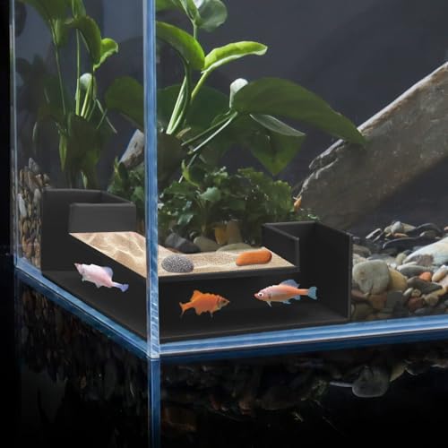 Shrimp Cave Aquarium Tunnel, Shrimp Hides for Aquarium Caves, Fish Tunnel for Aquarium Hideout, Shrimp Tank Accessories, Aquarium Accessories for Fish Tank Cave, Plastic Fish Tank Aquarium Decoration Shrimp Cave Aquarium Tunnel, Shrimp Hides for Aquarium Caves, Fish Tunnel for Aquarium Hideout, Shrimp Tank Accessories, Aquarium Accessories for Fish Tank Cave, Plastic Fish Tank Aquarium Decoration von CPLIKE