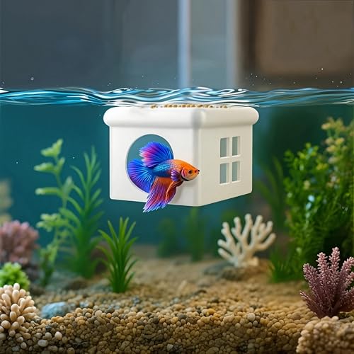 Weißes schwimmendes Betta-Fischversteck mit Fenster – 3D-Unterschlupf für Aquarien und Zuchtbox – Oberflächenfütterungsplattform & Höhlenruhe – kompakte Aquarium-Dekoration (9,3 x 7,3 x 5,5 cm) von CPLIKE