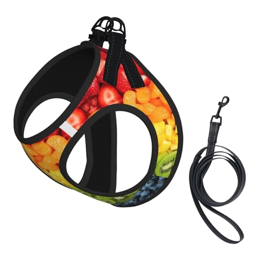 L Haustier-Leine, Weste und Hundegeschirr, klein, mit Schnalle, Hundebegleiter, Outdoor-Reisen L Haustier-Leine, Weste und Hundegeschirr, klein, mit Schnalle, Hundebegleiter, Outdoor-Reisen von CPyuqw