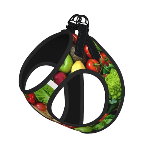 L Haustier-Leine, Weste und Hundegeschirr, klein, mit frischem Obst und Gemüse, bedruckt, mit Schnalle, Hundebegleiter, Outdoor-Reisen L Haustier-Leine, Weste und Hundegeschirr, klein, mit frischem Obst und Gemüse, bedruckt, mit Schnalle, Hundebegleiter, Outdoor-Reisen von CPyuqw