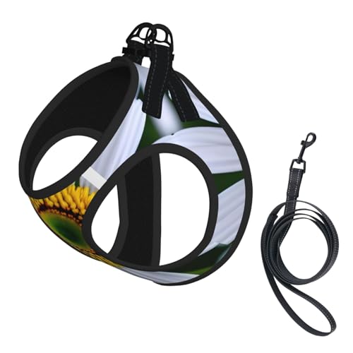 L Haustier-Leine, Weste und Hundegeschirr, kleine Größe, Gänseblümchen-Druck, Leinen-Set mit Schnalle, Hundebegleiter, Outdoor-Reisen von CPyuqw