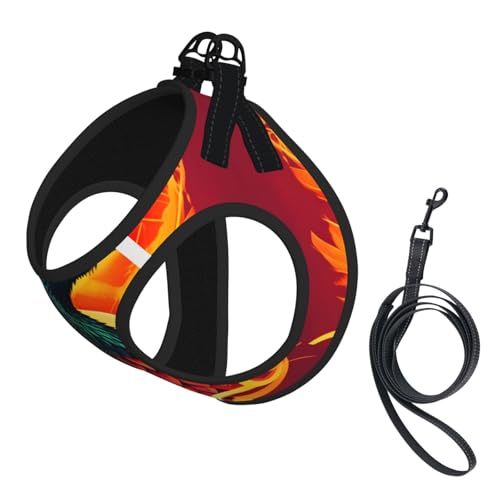 L Haustier-Leine, Weste und Hundegeschirr, kleine Größe, Phoenix-Druck, mit Schnalle, Hundebegleiter, Outdoor-Reisen von CPyuqw