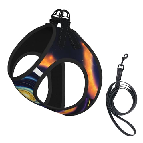 L Haustier-Leine, Weste und Hundegeschirr, kleine Größe, Weltraumspirale, kosmische Energie, mit Schnalle, Hundebegleiter, Outdoor-Reisen von CPyuqw