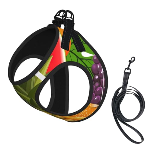L Haustier-Leine, Weste und Hundegeschirr, kleine Größe, frisches Obst, Ananas-Druck, mit Schnalle, Hundebegleiter, Outdoor-Reisen L Haustier-Leine, Weste und Hundegeschirr, kleine Größe, frisches Obst, Ananas-Druck, mit Schnalle, Hundebegleiter, Outdoor-Reisen von CPyuqw