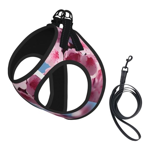 L Haustier-Leine, Weste und Hundegeschirr, kleine Größe, mit Kirschblüten-Druck, mit Schnalle, Hundebegleiter, Outdoor-Reisen L Haustier-Leine, Weste und Hundegeschirr, kleine Größe, mit Kirschblüten-Druck, mit Schnalle, Hundebegleiter, Outdoor-Reisen von CPyuqw