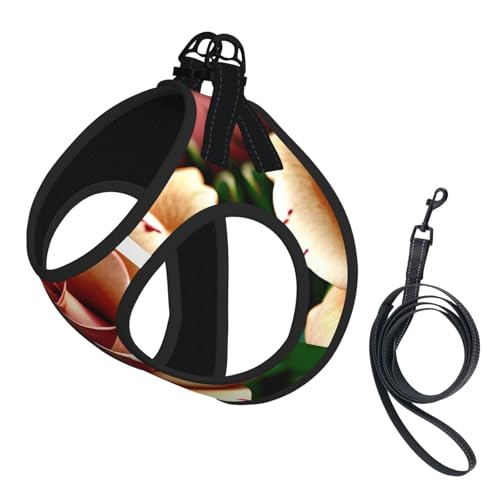 L Haustier-Leine, Weste und Hundegeschirr, kleine Größe, rustikaler Rosen-Blumendruck, Leinenset mit Schnalle, Hundebegleiter, Outdoor-Reisen von CPyuqw