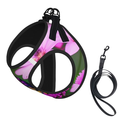 L Haustier-Leine, Weste und Hundegeschirr, kleine Größe, violett, Schmetterlings- und Blumendruck, mit Schnalle, Hundebegleiter, Outdoor-Reisen L Haustier-Leine, Weste und Hundegeschirr, kleine Größe, violett, Schmetterlings- und Blumendruck, mit Schnalle, Hundebegleiter, Outdoor-Reisen von CPyuqw