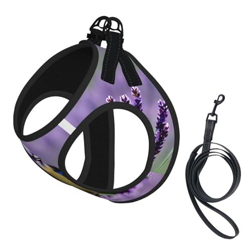 L Haustier-Leine, Weste und Hundegeschirr, kleiner Vogel in lila Lavendel, Blumendruck, Leinenset mit Schnalle, Hundebegleiter, Outdoor-Reisen von CPyuqw