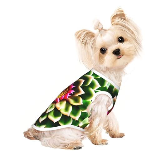 L Pet atmungsaktives ärmelloses T-Shirt – weiche blühende Kaktusblumen-Druck, dehnbare Weste für Hunde und Katzen, leichtes Tanktop L Pet atmungsaktives ärmelloses T-Shirt – weiche blühende Kaktusblumen-Druck, dehnbare Weste für Hunde und Katzen, leichtes Tanktop von CPyuqw