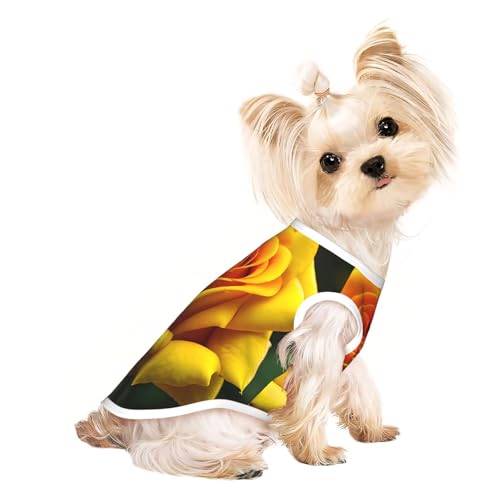 L Pet atmungsaktives ärmelloses T-Shirt – weiche gelbe Rose, Bilddruck, dehnbare Weste für Hunde und Katzen, leichtes Tanktop L Pet atmungsaktives ärmelloses T-Shirt – weiche gelbe Rose, Bilddruck, dehnbare Weste für Hunde und Katzen, leichtes Tanktop von CPyuqw