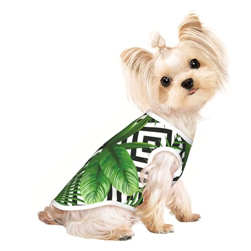 L Pet atmungsaktives ärmelloses T-Shirt – weiche grüne Blätter der Palme, tropischer Pflanzendruck, dehnbare Weste für Hunde und Katzen, leichtes Tanktop L Pet atmungsaktives ärmelloses T-Shirt – weiche grüne Blätter der Palme, tropischer Pflanzendruck, dehnbare Weste für Hunde und Katzen, leichtes Tanktop von CPyuqw