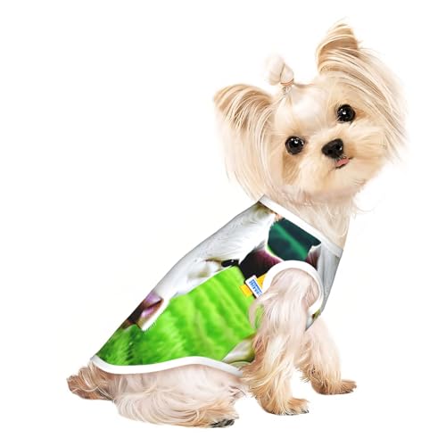 L Pet atmungsaktives ärmelloses T-Shirt – weiches Kuhmuster, dehnbare Weste für Hunde und Katzen, leichtes Tanktop L Pet atmungsaktives ärmelloses T-Shirt – weiches Kuhmuster, dehnbare Weste für Hunde und Katzen, leichtes Tanktop von CPyuqw