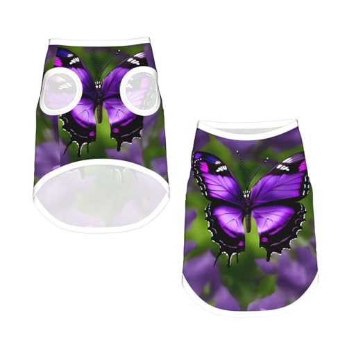 L Pet atmungsaktives ärmelloses T-Shirt - weiches lila Schmetterlings-Druck, dehnbare Weste für Hunde und Katzen, leichtes Tanktop L Pet atmungsaktives ärmelloses T-Shirt - weiches lila Schmetterlings-Druck, dehnbare Weste für Hunde und Katzen, leichtes Tanktop von CPyuqw