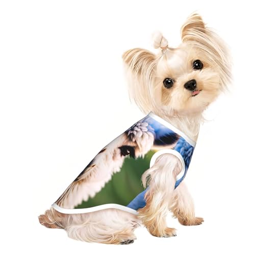 L Pet atmungsaktives ärmelloses T-Shirt – weiches süßes Lama-Druck, dehnbare Weste für Hunde und Katzen, leichtes Tanktop L Pet atmungsaktives ärmelloses T-Shirt – weiches süßes Lama-Druck, dehnbare Weste für Hunde und Katzen, leichtes Tanktop von CPyuqw
