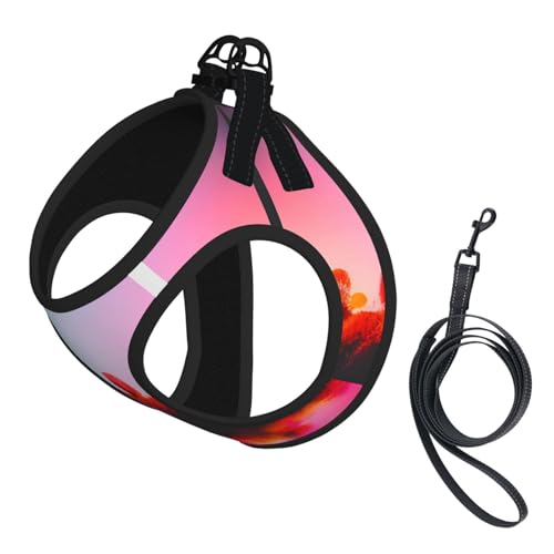 M Haustier-Leine, Weste und Hundegeschirr, klein, bunt, Kunstdruck, Leinen-Set mit Schnalle, Hundebegleiter, Outdoor-Reisen von CPyuqw