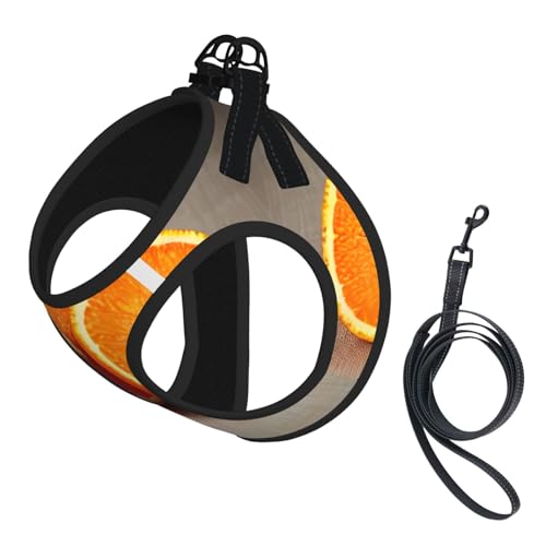 M Haustier-Leine, Weste und Hundegeschirr, klein, mit Schnalle, Hundebegleiter, Outdoor, Reisen von CPyuqw