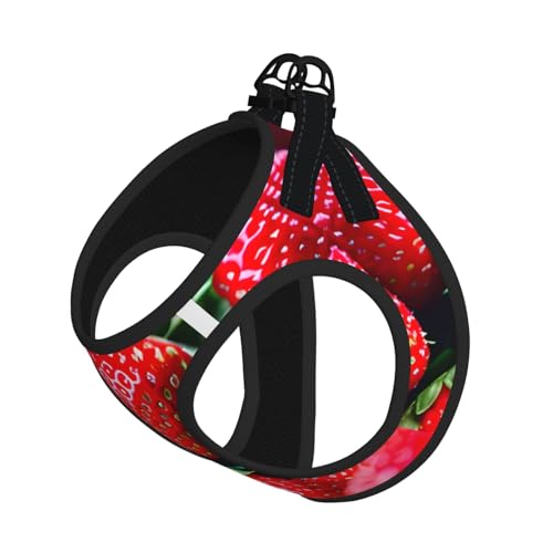 M Haustier-Leine, Weste und Hundegeschirr, klein, mit Schnalle, Hundebegleiter, Outdoor-Reisen M Haustier-Leine, Weste und Hundegeschirr, klein, mit Schnalle, Hundebegleiter, Outdoor-Reisen von CPyuqw