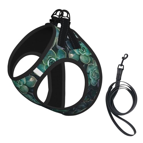 M Haustier-Leine, Weste und Hundegeschirr, klein, mit Sukkulenten-Druck, mit Schnalle, Hundebegleiter, Outdoor-Reisen M Haustier-Leine, Weste und Hundegeschirr, klein, mit Sukkulenten-Druck, mit Schnalle, Hundebegleiter, Outdoor-Reisen von CPyuqw