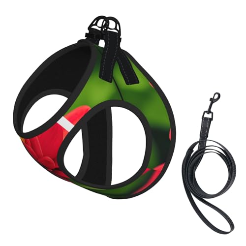 M Haustier-Leine, Weste und Hundegeschirr, klein, mit schönem Blumendruck, mit Schnalle, Hundebegleiter, Outdoor-Reisen, Rot M Haustier-Leine, Weste und Hundegeschirr, klein, mit schönem Blumendruck, mit Schnalle, Hundebegleiter, Outdoor-Reisen, Rot von CPyuqw