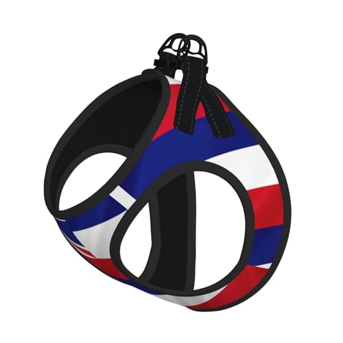 M Haustier-Leine, Weste und Hundegeschirr, kleine Flagge von Hawaii, mit Schnalle, Hundebegleiter, Outdoor-Reisen von CPyuqw
