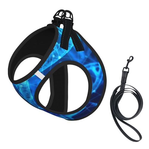M Haustier-Leine, Weste und Hundegeschirr, kleine Größe, DNA-Kette, Fotodruck-Leinen-Set mit Schnalle, Hundebegleiter, Outdoor-Reisen von CPyuqw