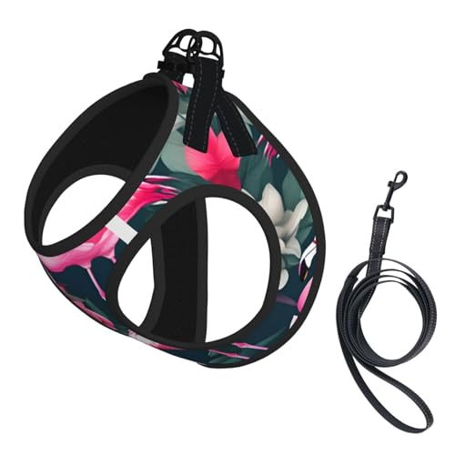 M Haustier-Leine, Weste und Hundegeschirr, kleine Größe, Flamingo-Blumendruck, Leinenset mit Schnalle, Hundebegleiter, Outdoor-Reisen M Haustier-Leine, Weste und Hundegeschirr, kleine Größe, Flamingo-Blumendruck, Leinenset mit Schnalle, Hundebegleiter, Outdoor-Reisen von CPyuqw