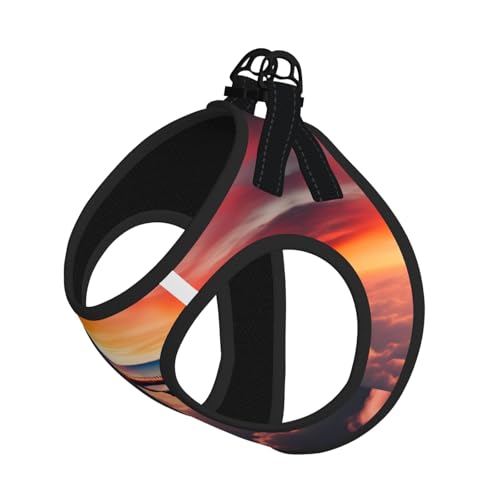 M Haustier-Leine, Weste und Hundegeschirr, kleine Größe, Flugzeug-Sonnenuntergänge, Himmelmuster, Leinenset mit Schnalle, Hundebegleiter, Outdoor-Reisen von CPyuqw