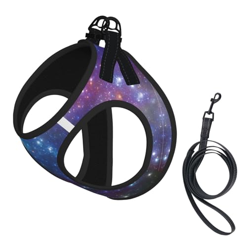 M Haustier-Leine, Weste und Hundegeschirr, kleine Größe, Galaxie-Druck, mit Schnalle, Hundebegleiter, Outdoor-Reisen M Haustier-Leine, Weste und Hundegeschirr, kleine Größe, Galaxie-Druck, mit Schnalle, Hundebegleiter, Outdoor-Reisen von CPyuqw