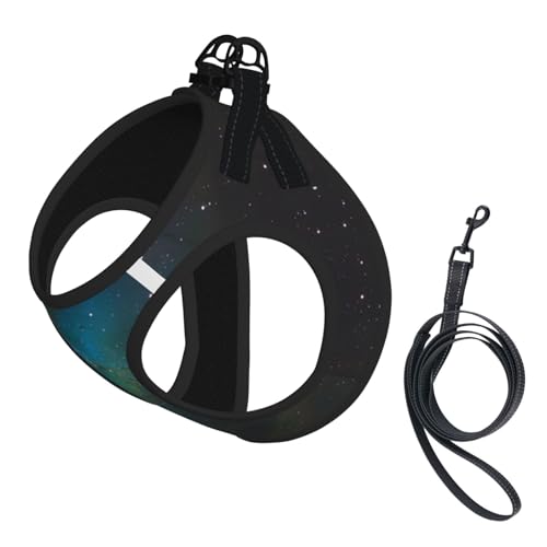 M Haustier-Leine, Weste und Hundegeschirr, kleine Größe, Galaxie-Grün, mit Schnalle, Hundebegleiter, Outdoor-Reisen von CPyuqw