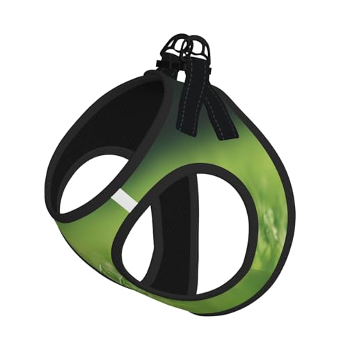 M Haustier-Leine, Weste und Hundegeschirr, kleine Größe, HD-Grün, Naturdruck, mit Schnalle, Hundebegleiter, Outdoor-Reisen M Haustier-Leine, Weste und Hundegeschirr, kleine Größe, HD-Grün, Naturdruck, mit Schnalle, Hundebegleiter, Outdoor-Reisen von CPyuqw