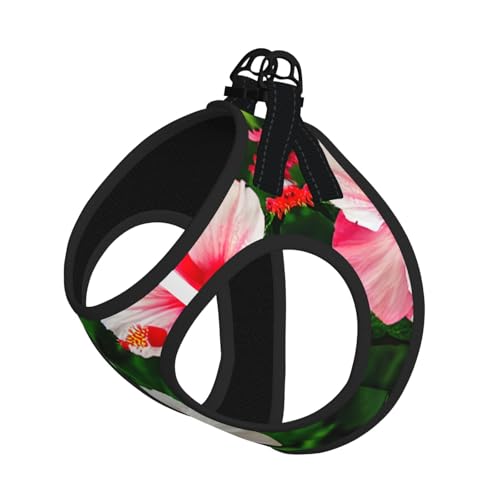M Haustier-Leine, Weste und Hundegeschirr, kleine Größe, Hibiskusblumen-Druck, Leinenset mit Schnalle, Hundebegleiter, Outdoor-Reisen von CPyuqw
