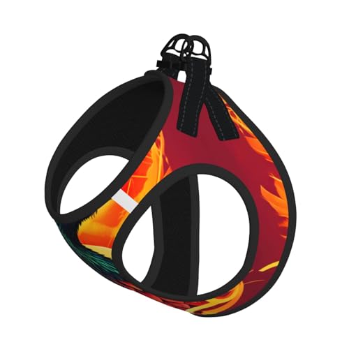 M Haustier-Leine, Weste und Hundegeschirr, kleine Größe, Phoenix-Druck, mit Schnalle, Hundebegleiter, Outdoor-Reisen M Haustier-Leine, Weste und Hundegeschirr, kleine Größe, Phoenix-Druck, mit Schnalle, Hundebegleiter, Outdoor-Reisen von CPyuqw