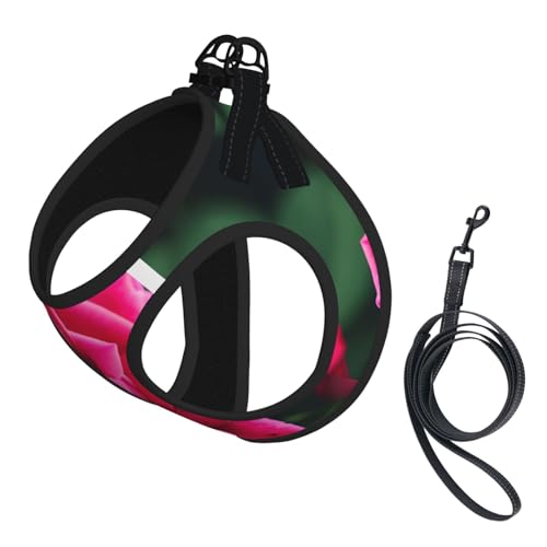 M Haustier-Leine, Weste und Hundegeschirr, kleine Größe, Rosen-Blumendruck-Leinen-Set mit Schnalle, Hundebegleiter, Outdoor-Reisen von CPyuqw