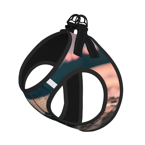 M Haustier-Leine, Weste und Hundegeschirr, kleine Größe, Seestern-Fischernetze, bedruckt, mit Schnalle, Hundebegleiter, Outdoor-Reisen M Haustier-Leine, Weste und Hundegeschirr, kleine Größe, Seestern-Fischernetze, bedruckt, mit Schnalle, Hundebegleiter, Outdoor-Reisen von CPyuqw