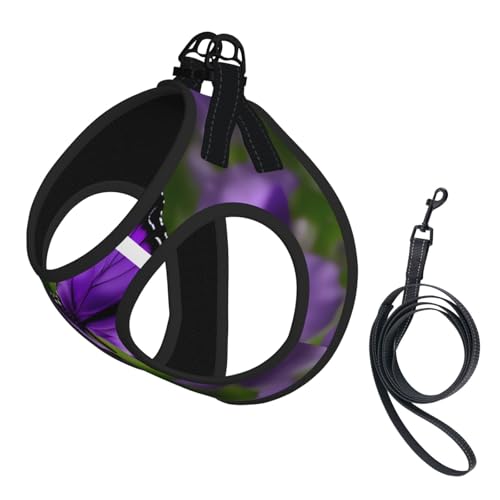 M Haustier-Leine, Weste und Hundegeschirr, kleine Größe, Violett, Schmetterlings-Druck, mit Schnalle, Hundebegleiter, Outdoor-Reisen M Haustier-Leine, Weste und Hundegeschirr, kleine Größe, Violett, Schmetterlings-Druck, mit Schnalle, Hundebegleiter, Outdoor-Reisen von CPyuqw