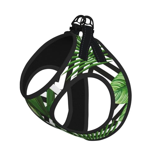 M Haustier-Leine, Weste und Hundegeschirr, kleine Größe, grüne Blätter von Palmen, tropischer Pflanzendruck, Leinen-Set mit Schnalle, Hundebegleiter, Outdoor-Reisen von CPyuqw