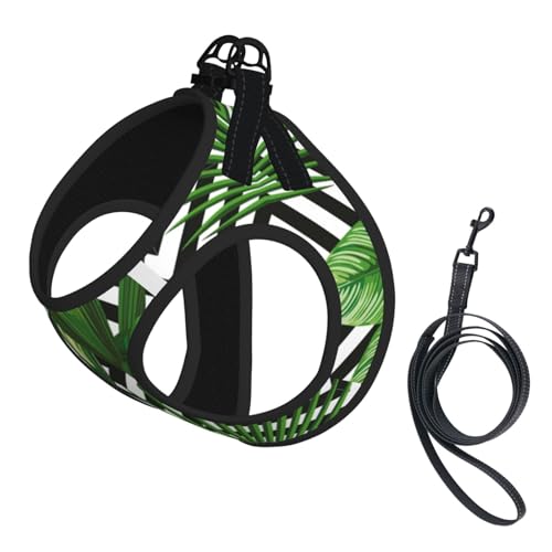 M Haustier-Leine, Weste und Hundegeschirr, kleine Größe, grüne Blätter von Palmen, tropischer Pflanzendruck, Leinen-Set mit Schnalle, Hundebegleiter, Outdoor-Reisen M Haustier-Leine, Weste und Hundegeschirr, kleine Größe, grüne Blätter von Palmen, tropischer Pflanzendruck, Leinen-Set mit Schnalle, Hundebegleiter, Outdoor-Reisen von CPyuqw