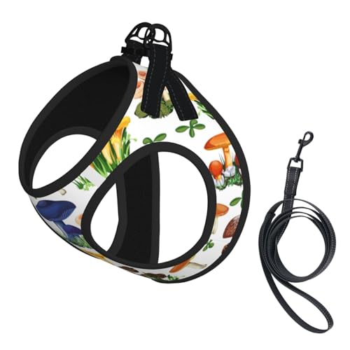 M Haustier-Leine, Weste und Hundegeschirr, kleine Größe, japanische Malerei, Pilzdruck, mit Schnalle, Hundebegleiter, Outdoor-Reisen M Haustier-Leine, Weste und Hundegeschirr, kleine Größe, japanische Malerei, Pilzdruck, mit Schnalle, Hundebegleiter, Outdoor-Reisen von CPyuqw