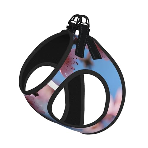 M Haustier-Leine, Weste und Hundegeschirr, kleine Größe, schöner Kirschblüten-Druck, Leinen-Set mit Schnalle, Hundebegleiter, Outdoor-Reisen M Haustier-Leine, Weste und Hundegeschirr, kleine Größe, schöner Kirschblüten-Druck, Leinen-Set mit Schnalle, Hundebegleiter, Outdoor-Reisen von CPyuqw
