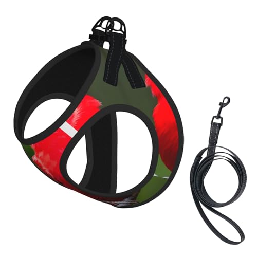 M Haustier-Leine, Weste und Hundegeschirr, kleine Größe, schöner roter Vogel-Druck, mit Schnalle, Hundebegleiter, Outdoor-Reisen M Haustier-Leine, Weste und Hundegeschirr, kleine Größe, schöner roter Vogel-Druck, mit Schnalle, Hundebegleiter, Outdoor-Reisen von CPyuqw