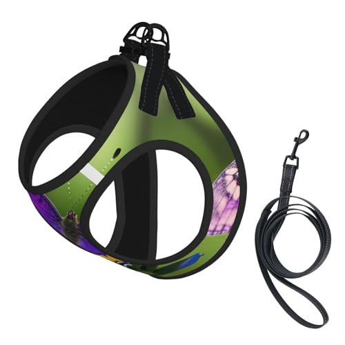 M Haustier-Leine, Weste und Hundegeschirr, kleine Größe, violettes Schmetterlingsmuster, mit Schnalle, Hundebegleiter, Outdoor-Reisen von CPyuqw