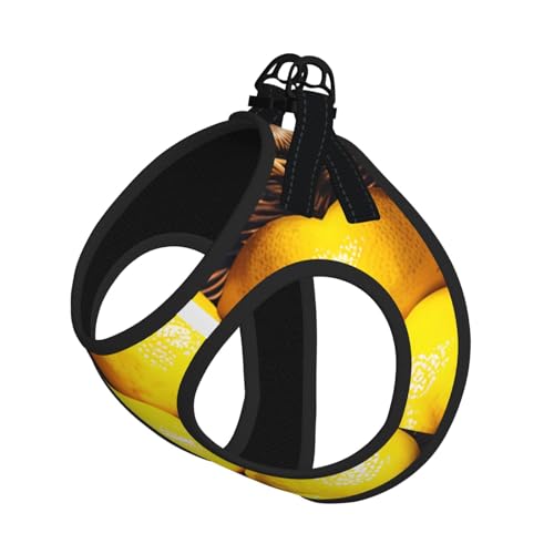 M Haustier-Leine, Weste und Hundegeschirr, kleiner Korb, Zitronenmuster, mit Schnalle, Hundebegleiter, Outdoor-Reisen von CPyuqw