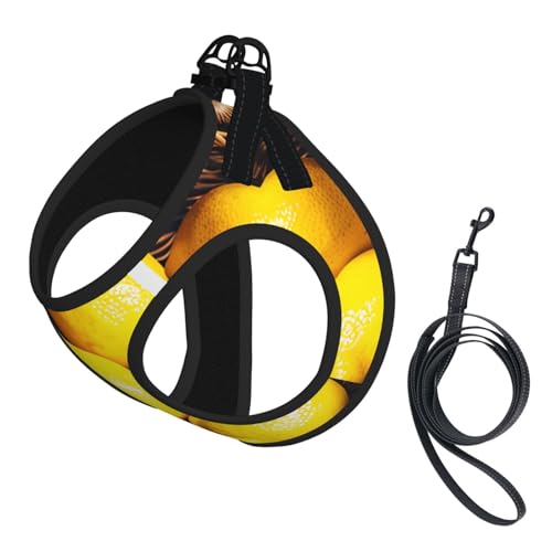 M Haustier-Leine, Weste und Hundegeschirr, kleiner Korb, Zitronenmuster, mit Schnalle, Hundebegleiter, Outdoor-Reisen von CPyuqw