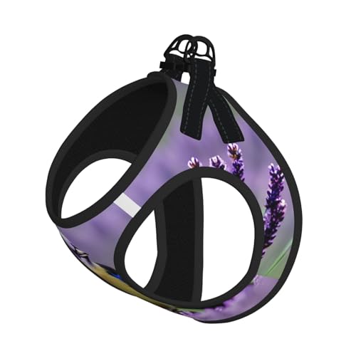 M Haustier-Leine, Weste und Hundegeschirr, kleiner Vogel in lila Lavendel, Blumendruck, Leinenset mit Schnalle, Hundebegleiter, Outdoor-Reisen von CPyuqw