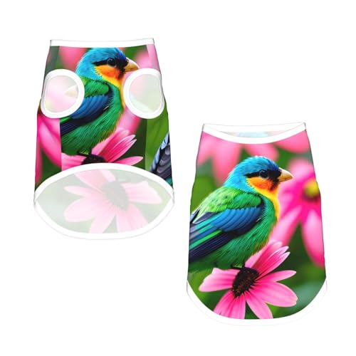 M Pet atmungsaktives ärmelloses T-Shirt – weiche, bunte Blumen und Vogel-Druck, dehnbare Weste für Hunde und Katzen, leichtes Tanktop M Pet atmungsaktives ärmelloses T-Shirt – weiche, bunte Blumen und Vogel-Druck, dehnbare Weste für Hunde und Katzen, leichtes Tanktop von CPyuqw