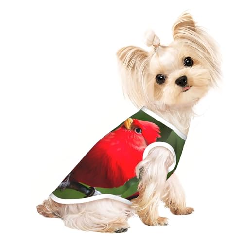 M Pet atmungsaktives ärmelloses T-Shirt – weiche, schöne rote Vögel bedruckt, dehnbare Weste für Hunde und Katzen, leichtes Tanktop M Pet atmungsaktives ärmelloses T-Shirt – weiche, schöne rote Vögel bedruckt, dehnbare Weste für Hunde und Katzen, leichtes Tanktop von CPyuqw