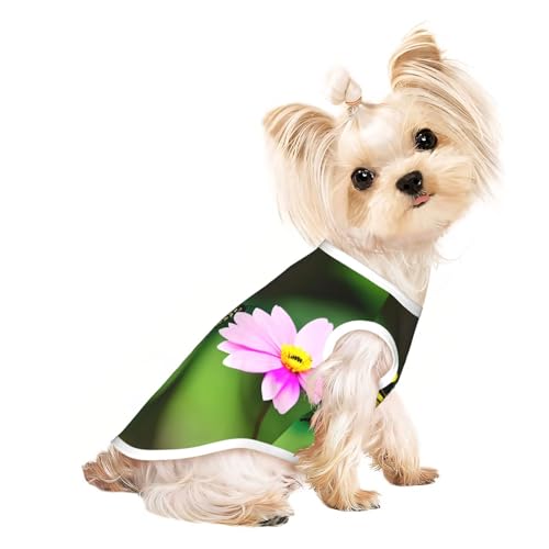 M Pet atmungsaktives ärmelloses T-Shirt – weiches Frühlingsblumen-Schmetterlings-Druck, dehnbare Weste für Hunde und Katzen, leichtes Tanktop M Pet atmungsaktives ärmelloses T-Shirt – weiches Frühlingsblumen-Schmetterlings-Druck, dehnbare Weste für Hunde und Katzen, leichtes Tanktop von CPyuqw