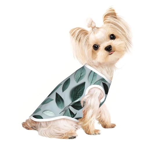 M Pet atmungsaktives ärmelloses T-Shirt – weiches Minzgraues Blattmuster, dehnbare Weste für Hunde und Katzen, leichtes Tanktop M Pet atmungsaktives ärmelloses T-Shirt – weiches Minzgraues Blattmuster, dehnbare Weste für Hunde und Katzen, leichtes Tanktop von CPyuqw
