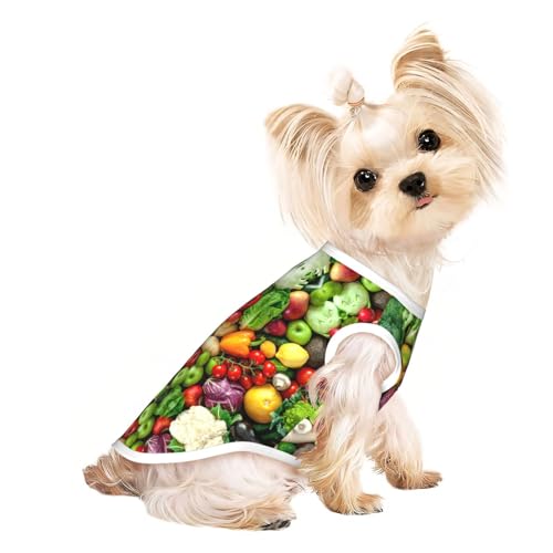 M Pet atmungsaktives ärmelloses T-Shirt – weiches frisches Obst und Gemüse bedruckt, dehnbare Weste für Hunde und Katzen, leichtes Tanktop M Pet atmungsaktives ärmelloses T-Shirt – weiches frisches Obst und Gemüse bedruckt, dehnbare Weste für Hunde und Katzen, leichtes Tanktop von CPyuqw